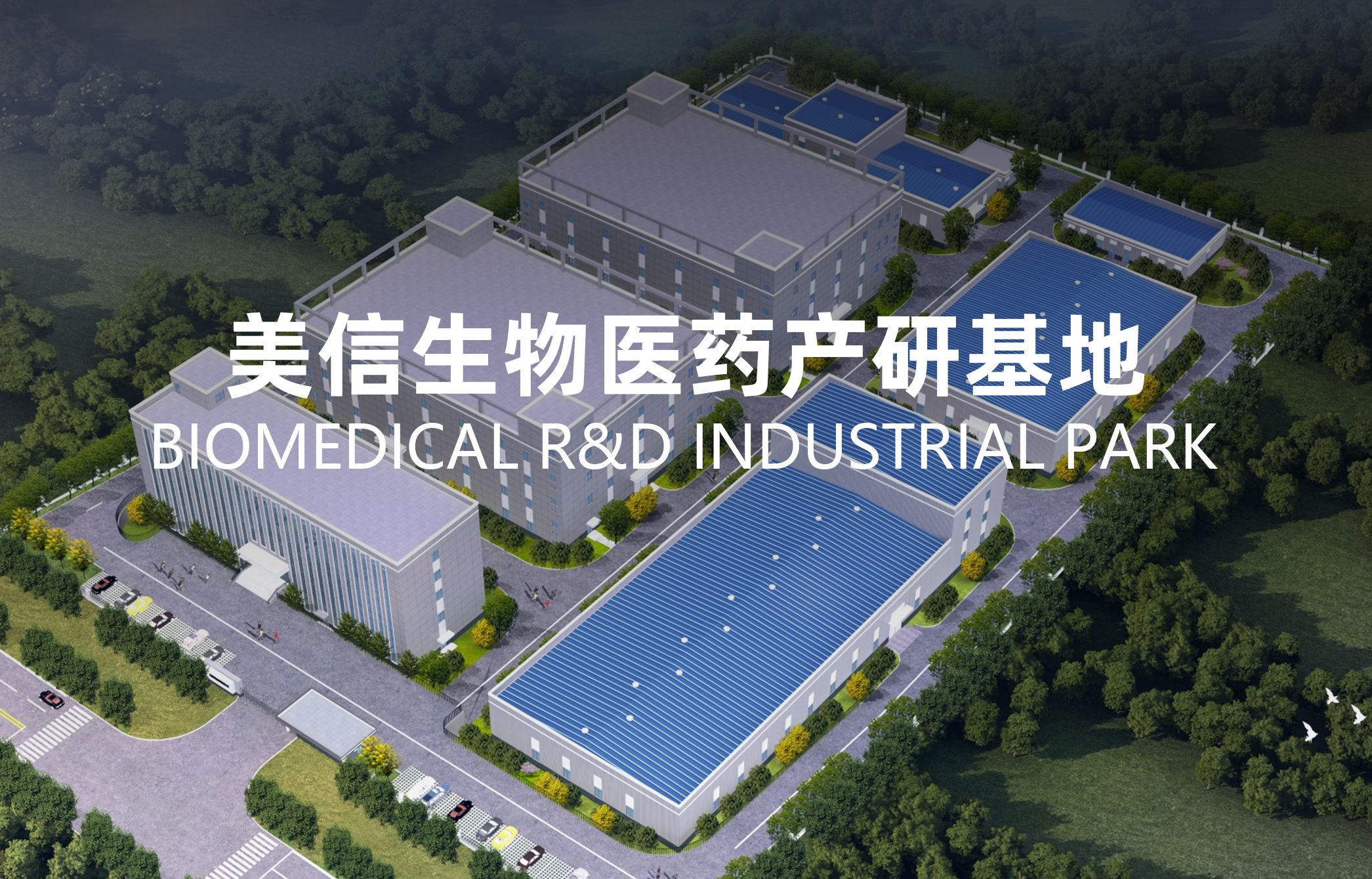 {dede:field name='typename'/}